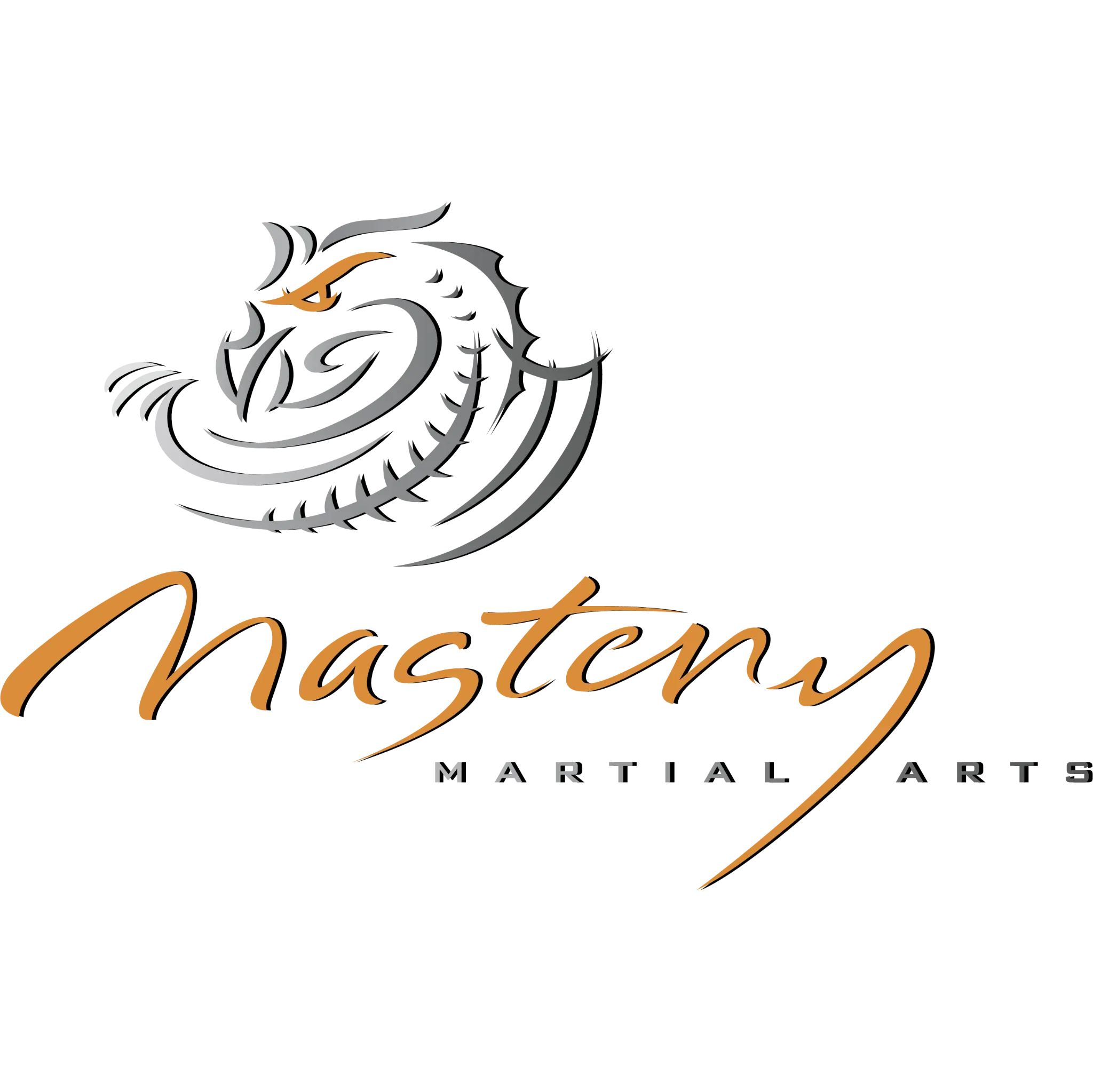 Mastery Martial Arts